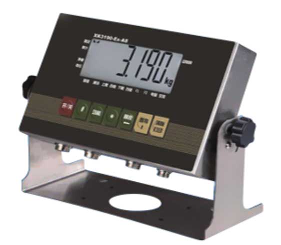 本安型防爆儀表